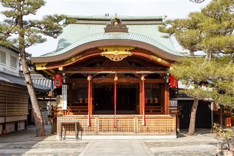 今宮戎神社 十日戎 〜神々の饗宴と現代の祈り〜