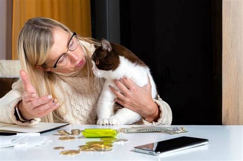 お手数お掛けしてすみません、なぜ猫は時々人間の言葉を理解しているように見えるのか？